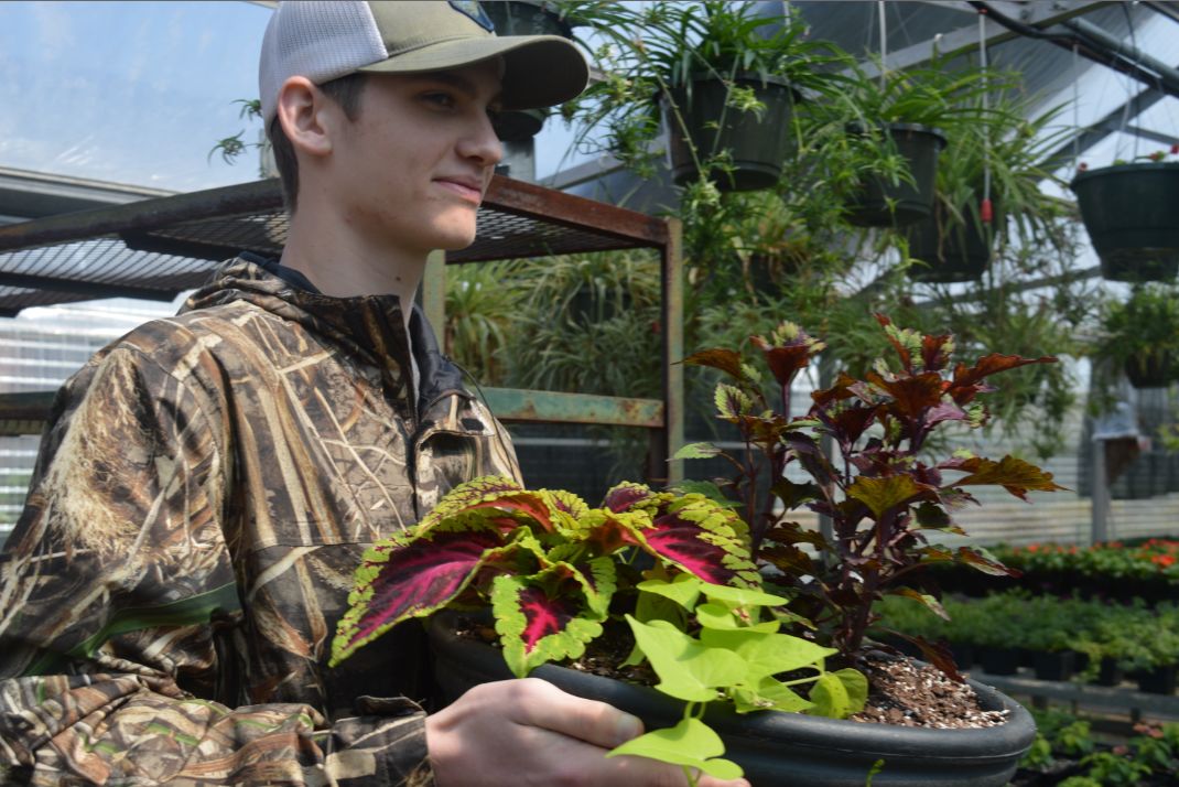 Logan Barnes plant salle